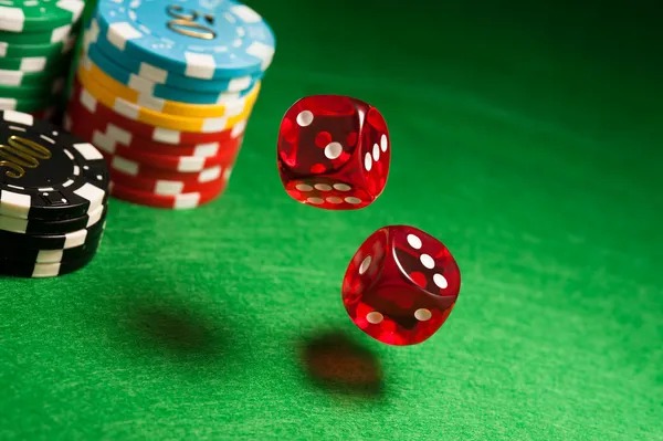 Free Fire World Series tournament broadcast